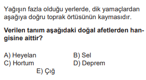 Soru Görseli